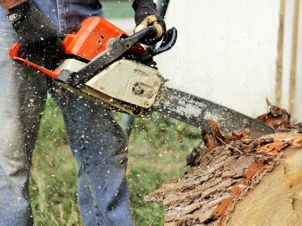 MKGreen Solutions offers professional tree felling services in Pietermaritzburg and surrounds.